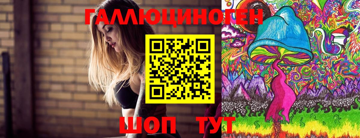 Галлюциногенные грибы MAGIC MUSHROOMS  Псилоцибиновые грибы GOLDEN TEACHER  Выборг  купить наркотик  Вход с VPN 